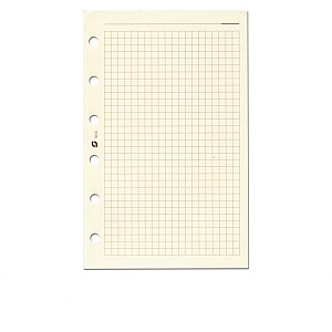 Succes Vulling A5 Crème Geruit Notitiepapier