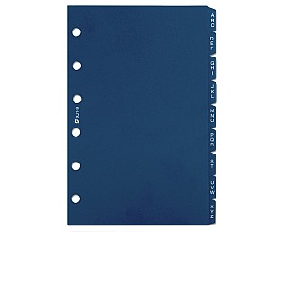 Succes Vulling Mini Synthetisch Alfabetische Index 3 Letters Succes Vulling Mini Synthetisch Alfabetische Index 3 Letters