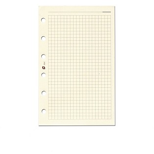 Succes Vulling Senior Crème Geruit Notitiepapier Succes Vulling Senior Crème Geruit Notitiepapier