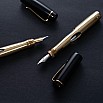 Ulpia 117 Ebonite Black and Brass Mira GT Fountain pen
