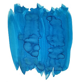 Van Dieman's Birds Of A Feather - Blue Jay Tail 30ml Frasco de tinta