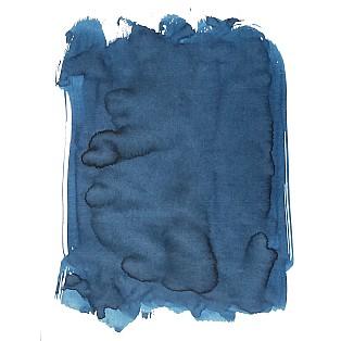 Van Dieman's Birds Of A Feather - Blue Jay Wing 30ml Frasco de tinta