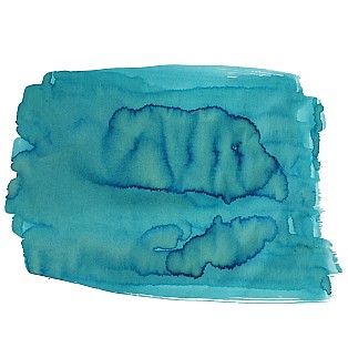 Van Dieman's Birds Of A Feather - European Honey Bee Eater Breast 30ml Frasco de tinta