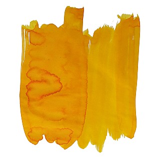 Van Dieman's Birds Of A Feather - European Honey Bee Eater Chin 30ml Frasco de tinta