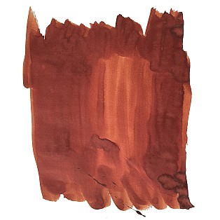 Van Dieman's Birds Of A Feather - European Honey Bee Eater Nape 30ml Frasco de tinta