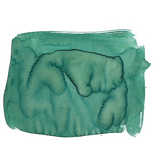 Van Dieman's Birds Of A Feather - European Honey Bee Eater Wing 30ml Frasco de tinta