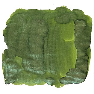 Van Dieman's Birds Of A Feather - Anna's Hummingbird Wing 30ml Frasco de tinta