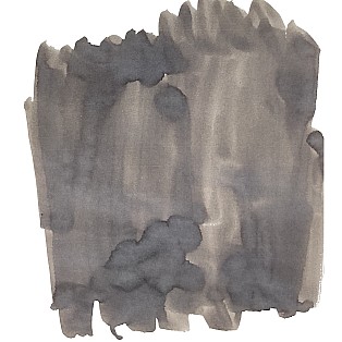 Van Dieman's Birds Of A Feather - Laughing Kookaburra Crest 30ml Frasco de tinta