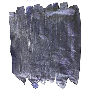 Van Dieman's Birds Of A Feather - Elegant Peacock Eye Shimmering 30ml Frasco de tinta