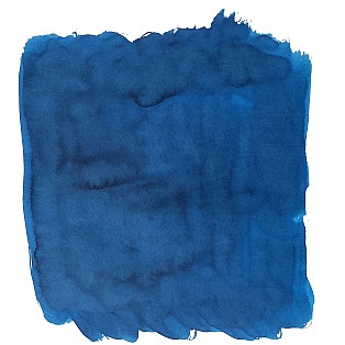 Van Dieman's Birds Of A Feather - Elegant Peacock Neck 30ml Frasco de tinta