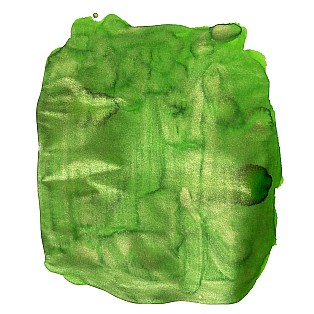 Van Dieman's Birds Of A Feather - Elegant Peacock Train Shimmering 30ml Frasco de tinta