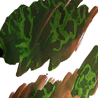 Van Dieman's Voyagers - Heemskerck and Zeehaen 30ml Inktpot