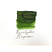 Van Dieman's Wilderness - Eucalyptus Regnans 30ml Inktpot