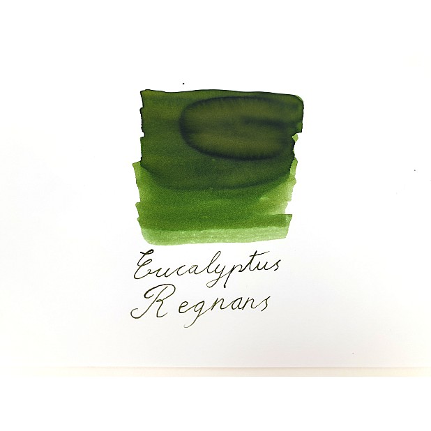 Van Dieman's Wilderness - Eucalyptus Regnans 30ml Bläck flaska