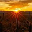 Visconti Homo Sapiens Arizona Sunset Caneta de Tinta Permanente