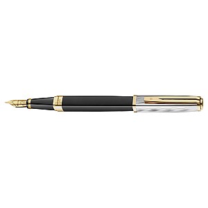 Waterman Exception Reflections of Paris GT Slim Vulpen