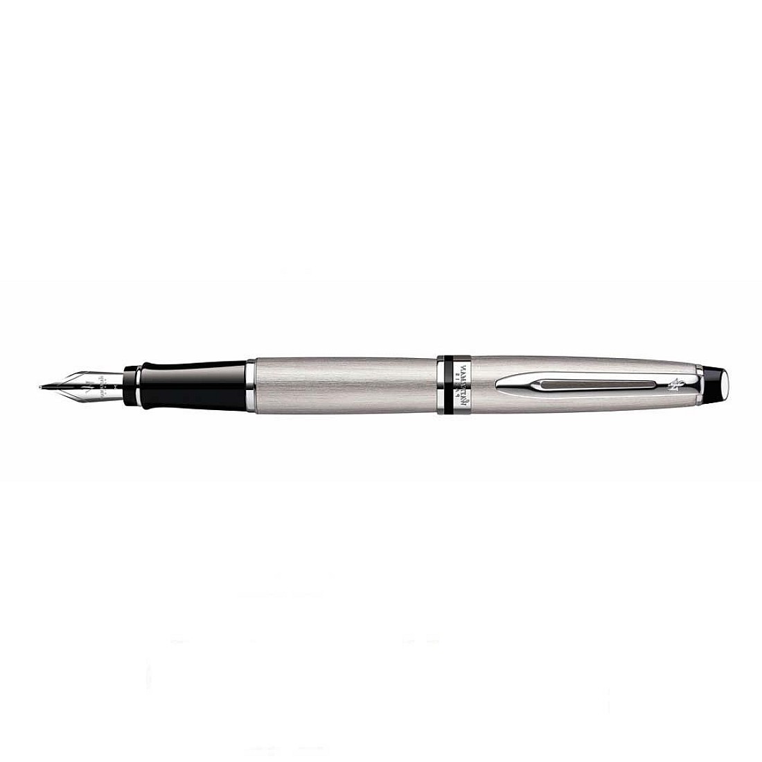 lys pære tæmme fleksibel Waterman Expert III Metallic CT Fountain pen | Appelboom.com