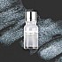 Wearingeul Inks Glitter Potion Silver Shoes Silver Blue 10ml Bottle
