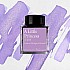 Wearingeul Inks A Little Princess by Frances Hodgson Burnett - 30ml Ink Bottle