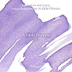 Wearingeul Inks A Little Princess by Frances Hodgson Burnett - Frasco de tinta de 30 ml