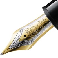 Shop ALBION Online | Nordstrom