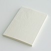 Midori MD Paper A5 Blank Notebook