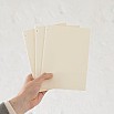 Midori MD Paper A5 Carnet de notes vierge léger (lot de 3)