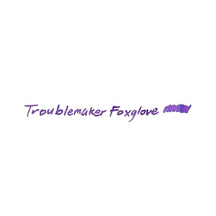 Troublemaker Inks Shading Foxglove 60ml Ink Bottle