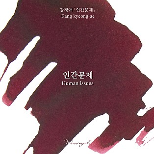 Tintas Wearingeul Literatura coreana Questão humana Frasco de tinta de 30 ml