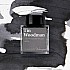 Tintas Wearingeul O Maravilhoso Feiticeiro de Oz - Homem de Lata - Frasco de tinta de 30 ml