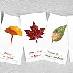 Karta kolorów atramentu Wearingeul Impression Leaf Ginkgo Swatch Card