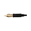 Aurora Large 18kt Yellow Gold Nib Aurora Large 18kt Yellow Gold Nib