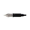 Aurora Large 18kt Yellow Gold Nib Aurora Large 18kt Yellow Gold Nib