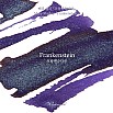 Encres Wearingeul Littérature mondiale Frankenstein par Mary Shelley Bouteille d'encre 30ml