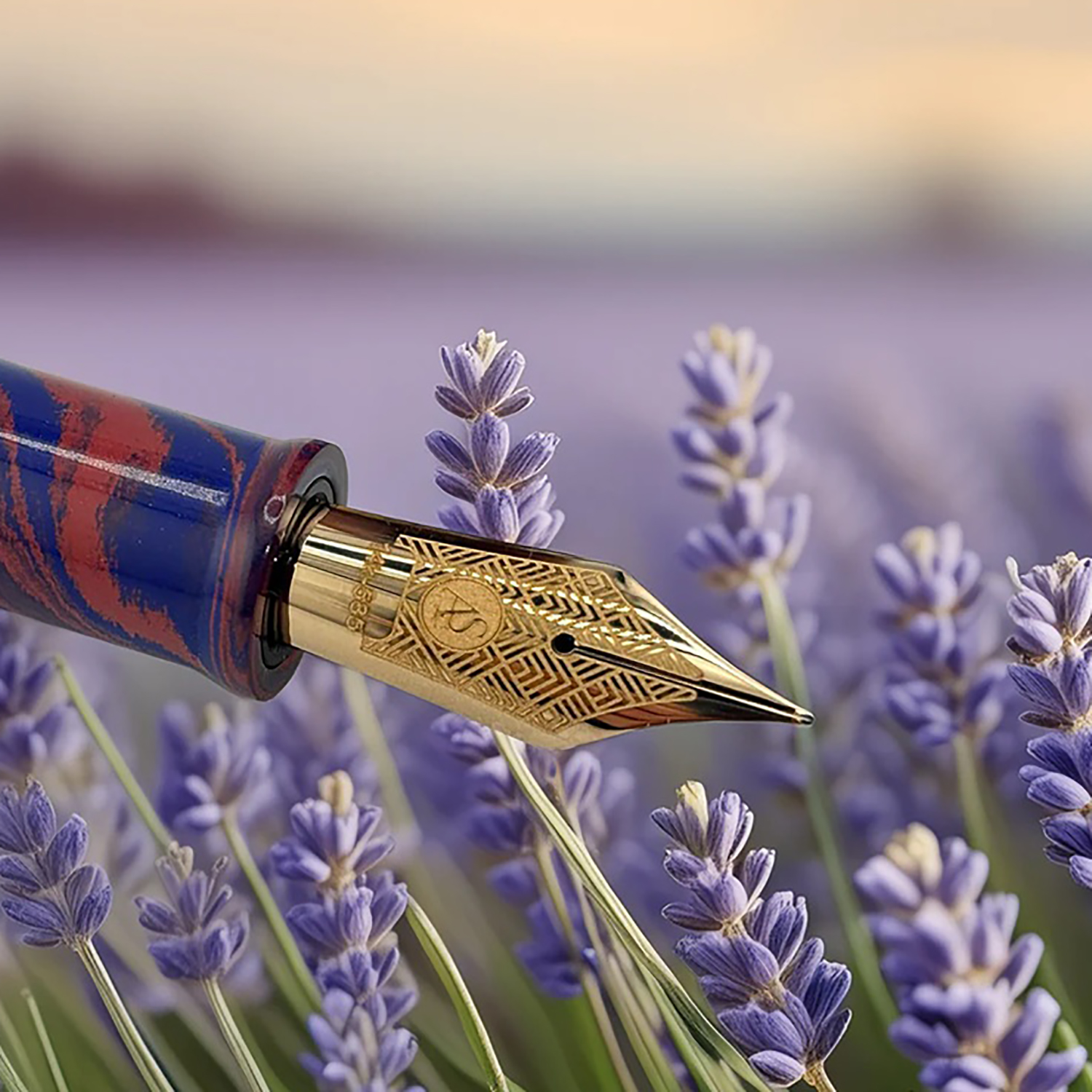 Armando Simoni Club Dreams Of Provence France Bespoke 2025 Fountain pen Armando Simoni Club Dreams Of Provence France Bespoke 2025 Fountain pen