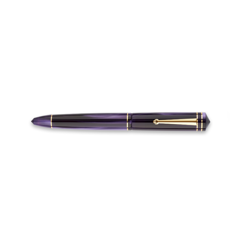 Delta Write Balance Violet GT Stylo Plume