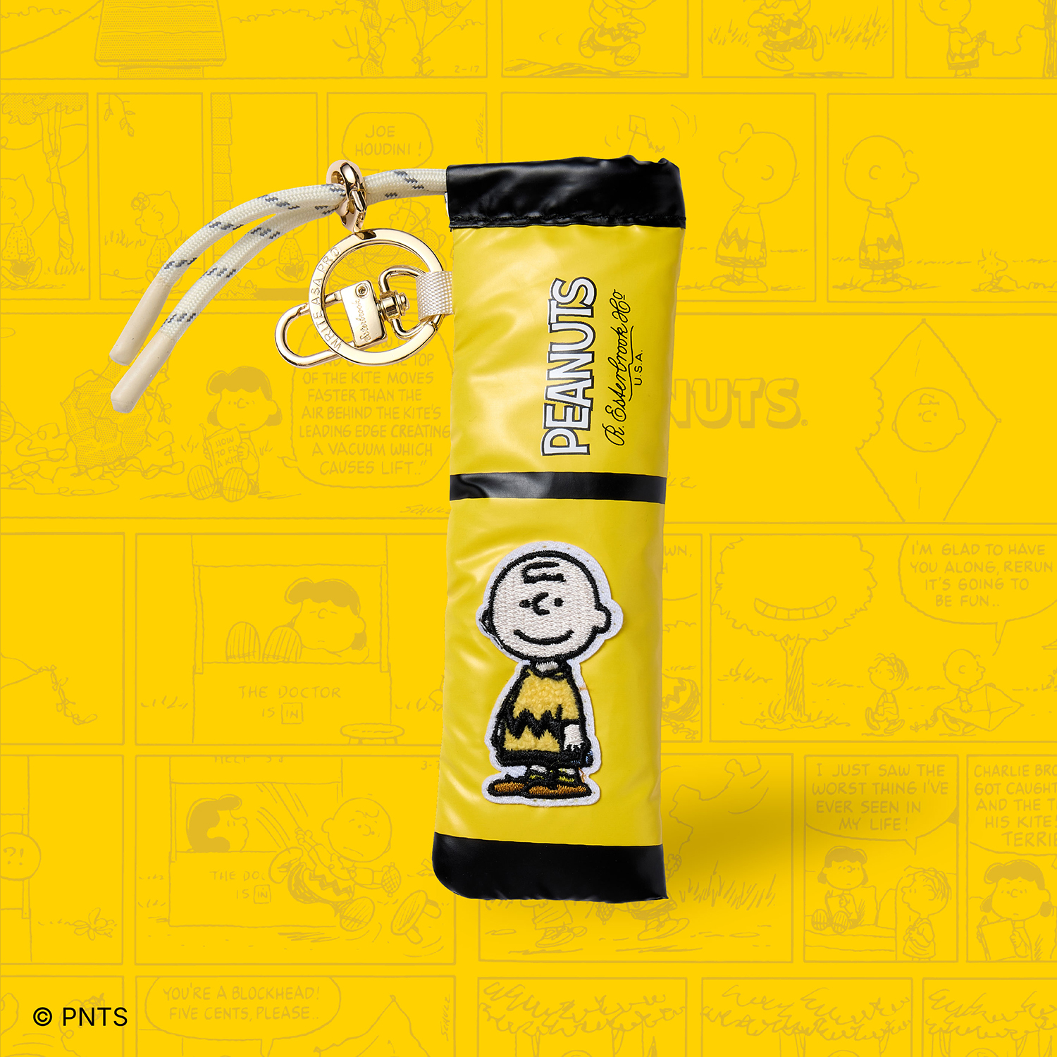 Esterbrook Peanuts 75th Anniversary Edition Charlie Brown Penetui