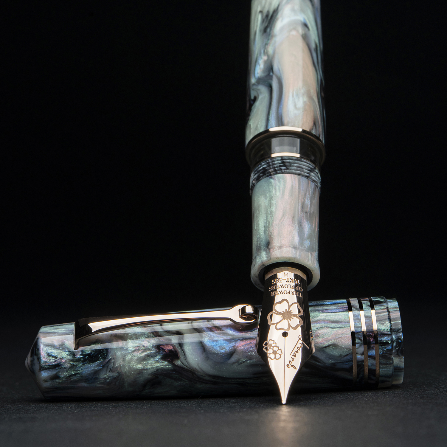 Leonardo Momento Zero Grande 2.0 The Power of Flower Dalia Eveline RGT Fountain pen #8 Nib