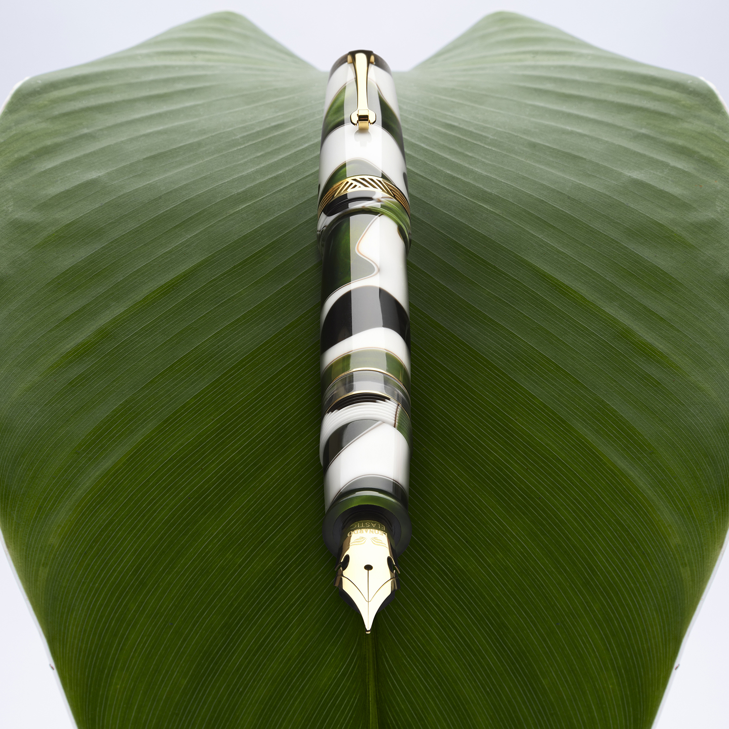 Leonardo Momento Magico Foglia GT Fountain pen