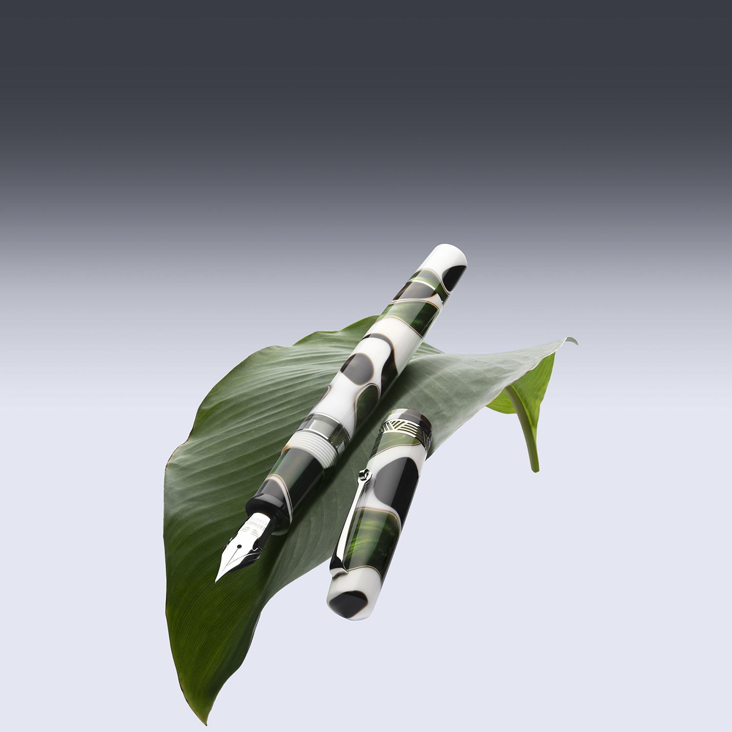 Leonardo Momento Magico Foglia ST Fountain pen