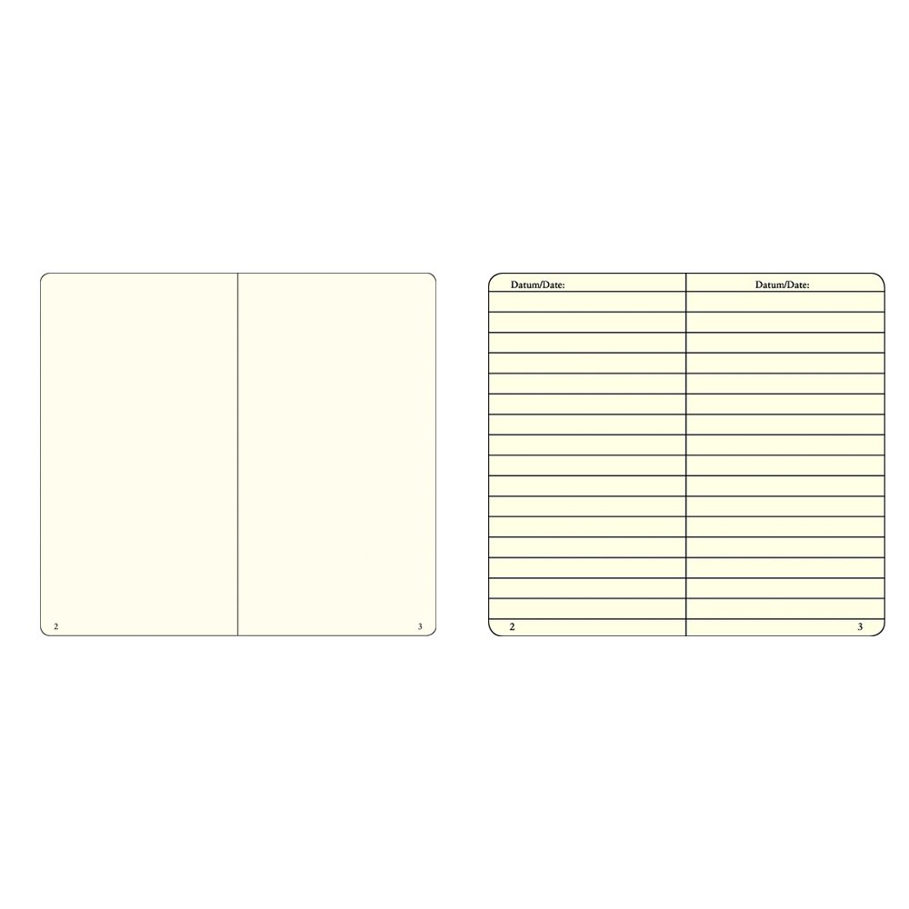 Leuchtturm1917 100th Anniversary Metallic Limited Edition Zilver Notitieboek Medium A5