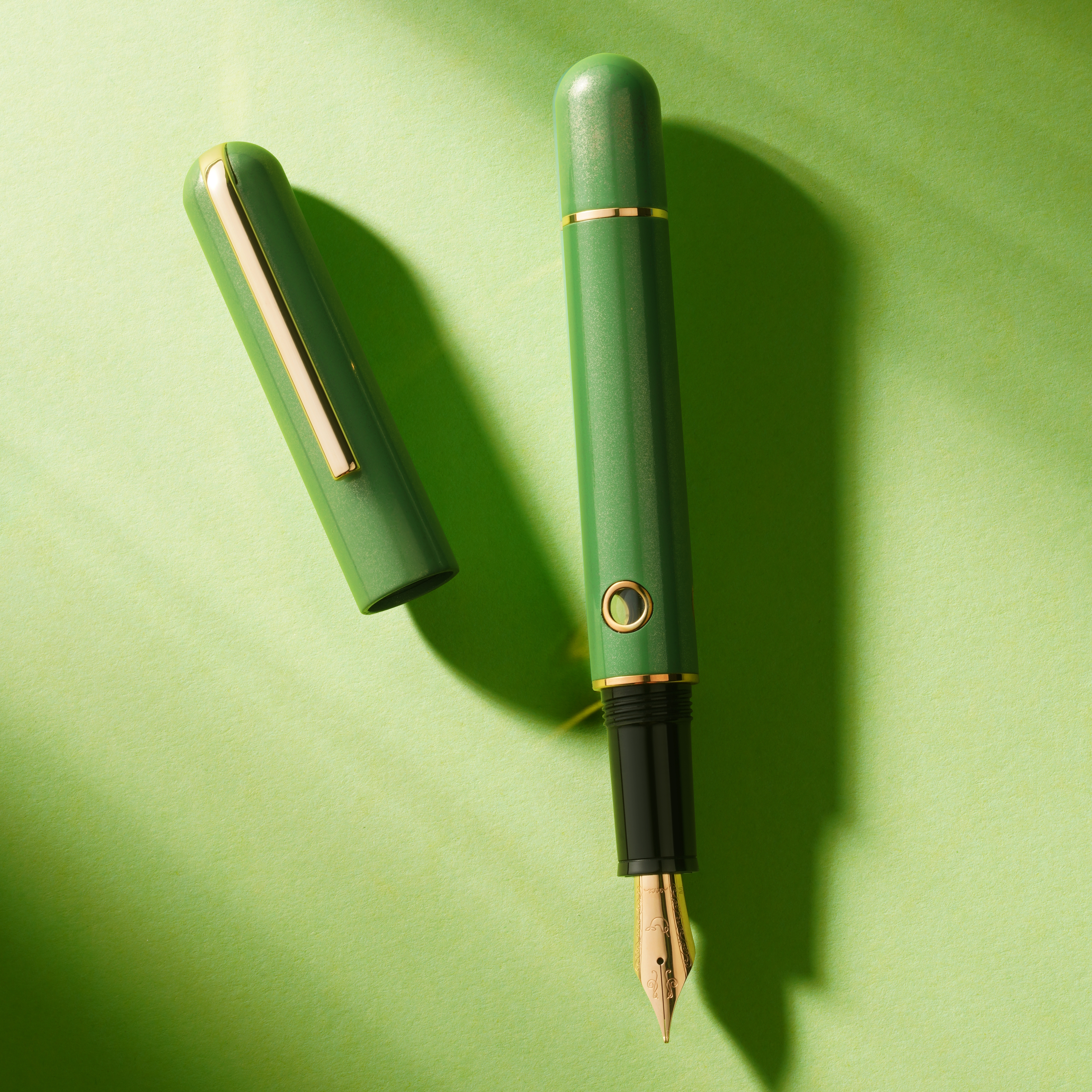 Nahvalur 365 Anniversary Roiro Jade GT Limited Edition Stylo plume