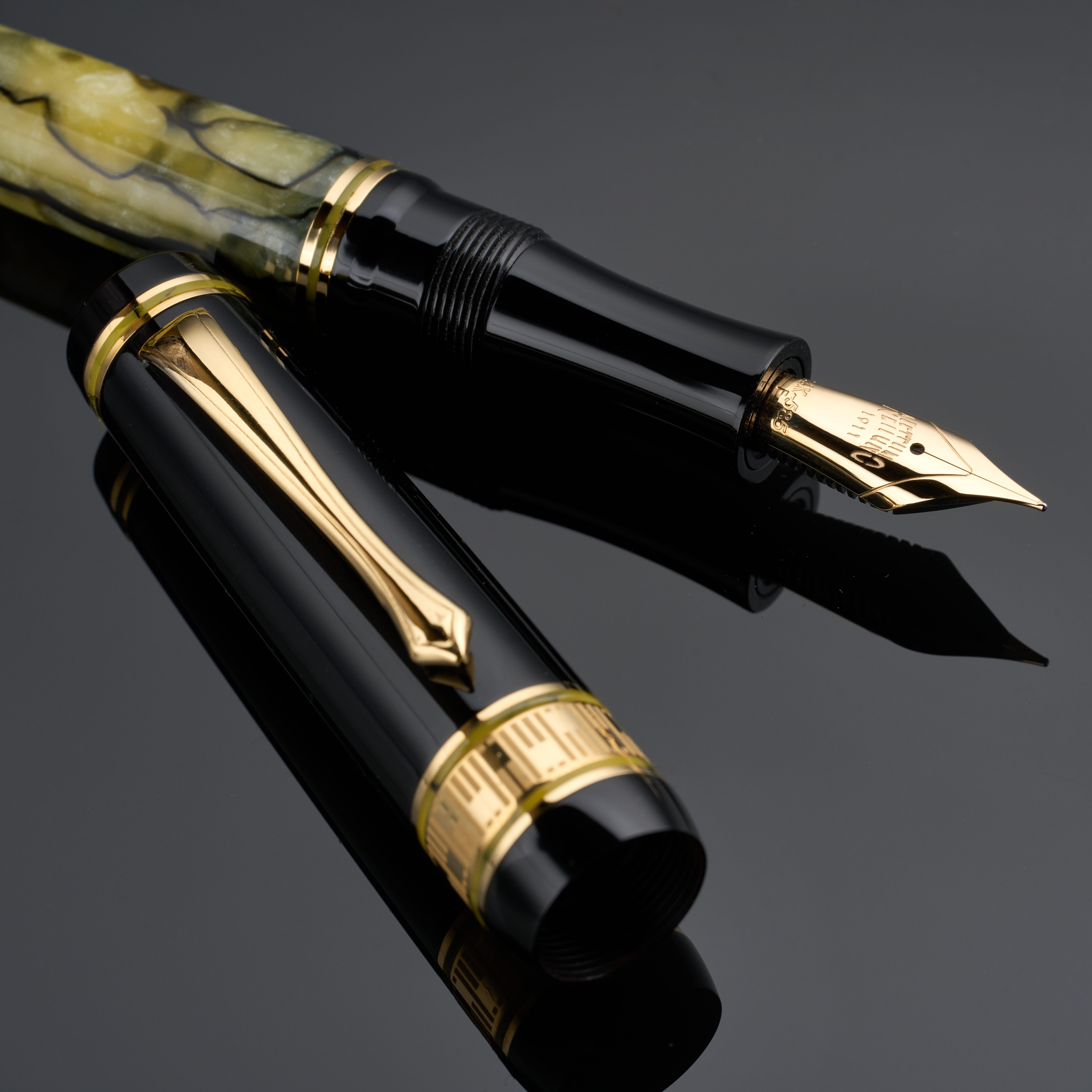 Nettuno 1911 Superba Jade Marbled Celluloid Fountain pen