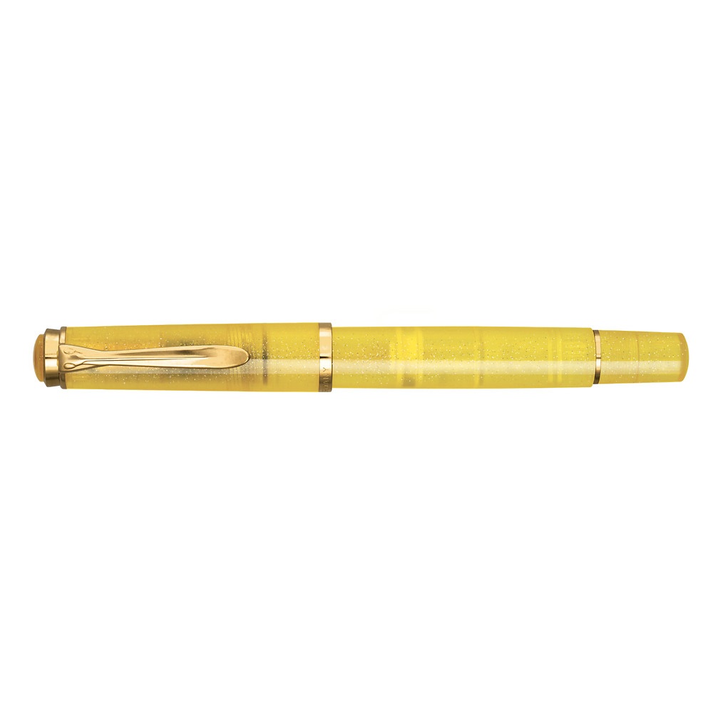 Pelikan Classic M200 Pyrite Edition Spéciale Stylo Plume