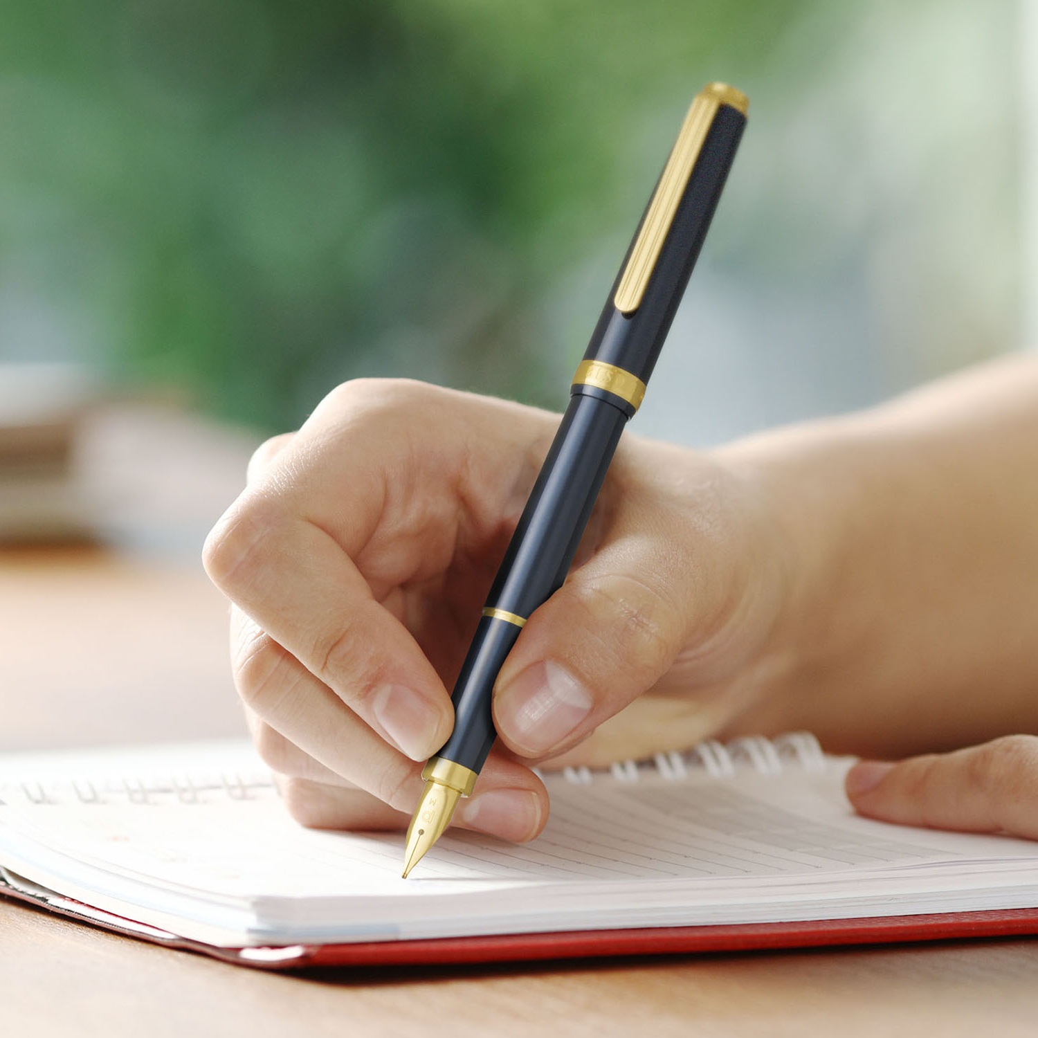 Platinum Biso Nebula Black GT Stylo Plume