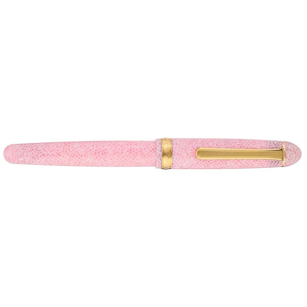 Platinum #3776 Century Celluloid Sakura Fountain pen Platinum #3776 Century Celluloid Sakura Fountain pen