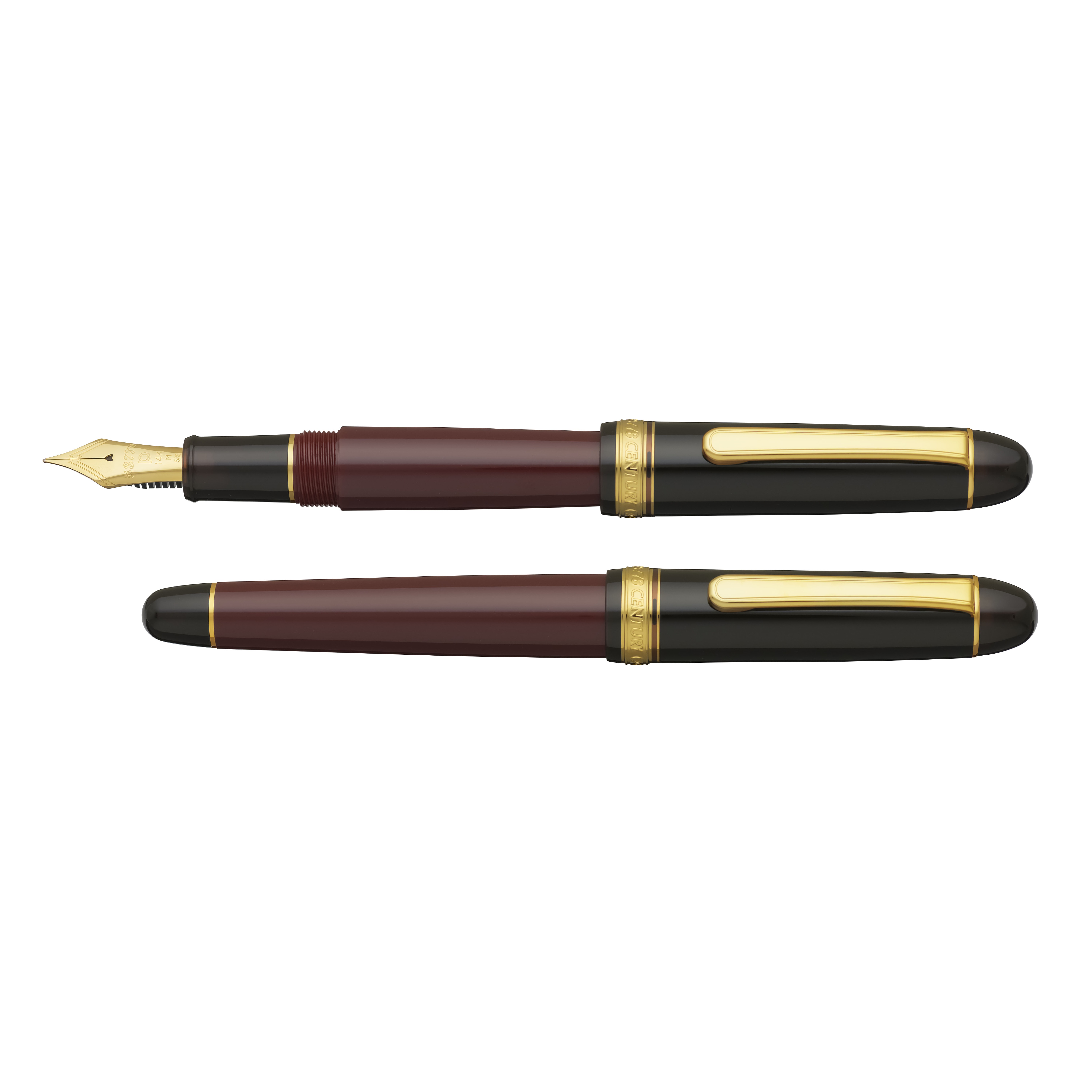 Platinum #3776 Century Favorite Things Collection Coffee Jelly Fountain pen