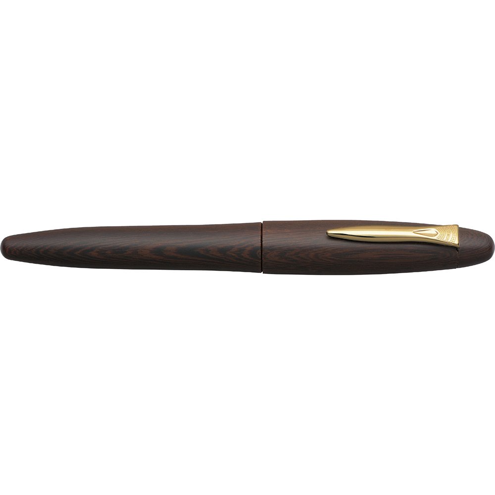 Platinum Izumo Tagayasan Matte Fountain pen