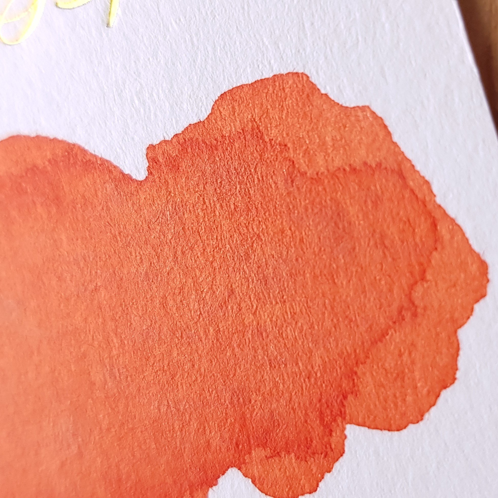 Robert Oster Signature Ink Dutch Pen Show 2020 Exclusive Ink Bottle