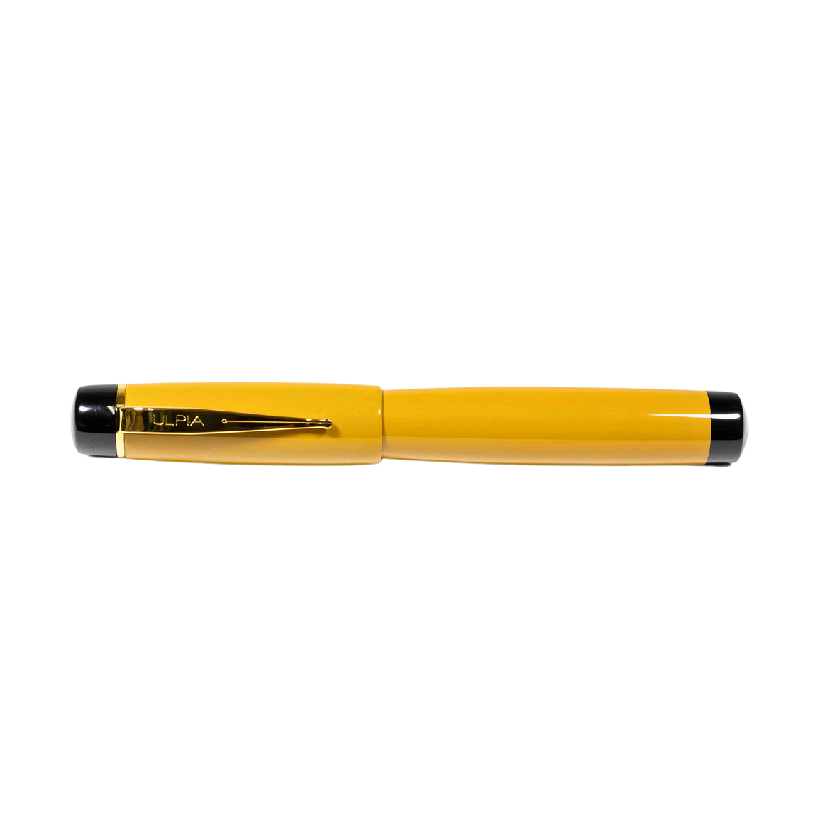 Ulpia 117 Ebonite Camel Absolute SE GT Fountain pen